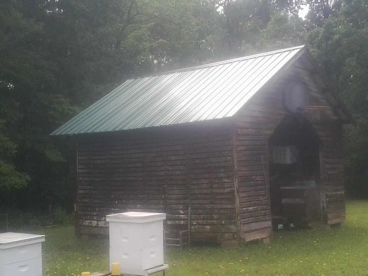 Green metal roof on a weathered barn beside stacked beehives in Weslaco