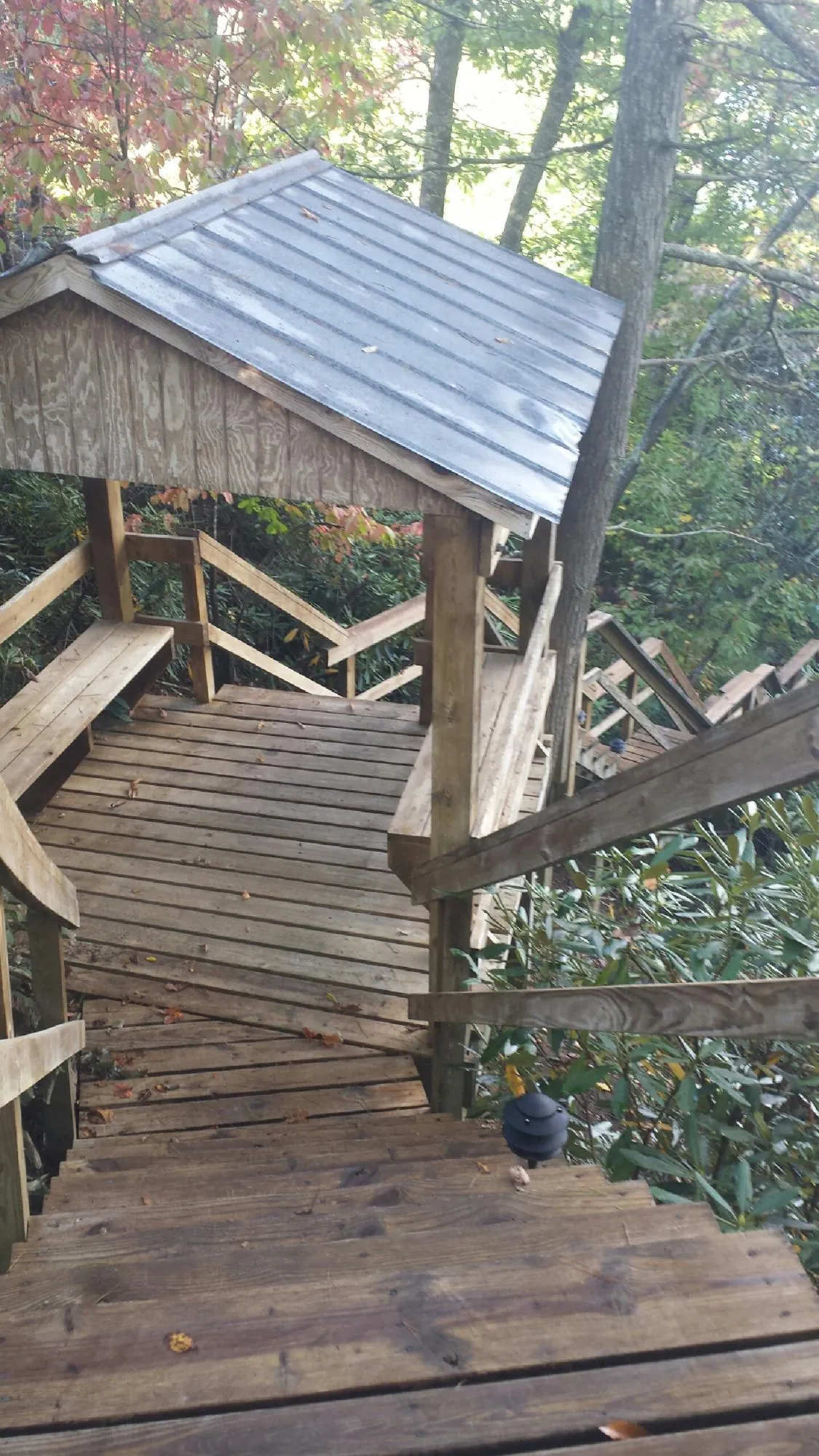 Metal roofed shelter over wooden steps on a wooded walkway — Skylight Repair & Installation work by our crew in Weslaco